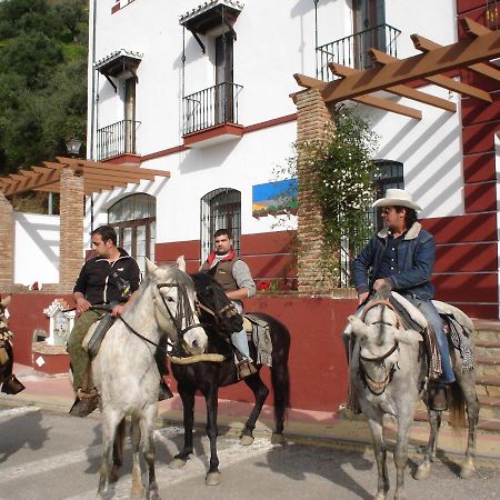 Apartamentos Rurales Mirador De Jubrique 외부 사진